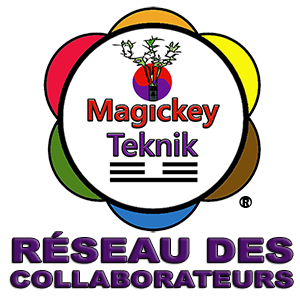 300x300px  NO 3  LOGO MagicKey TekniK RESEAU DES COLLABORATEURS FCOPY